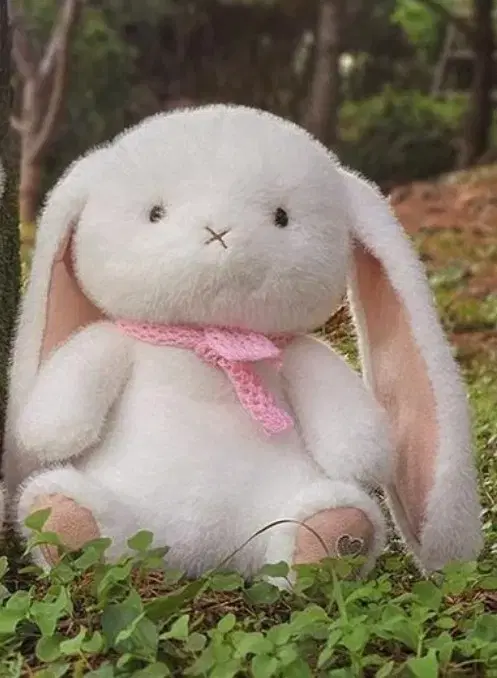 토끼 토이돌스 스프링프렌즈 토끼 인형 27cm | 브랜드 중고거래